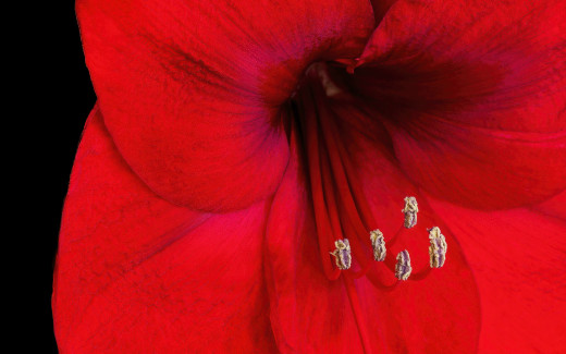 1755555 (a): :2560x1600